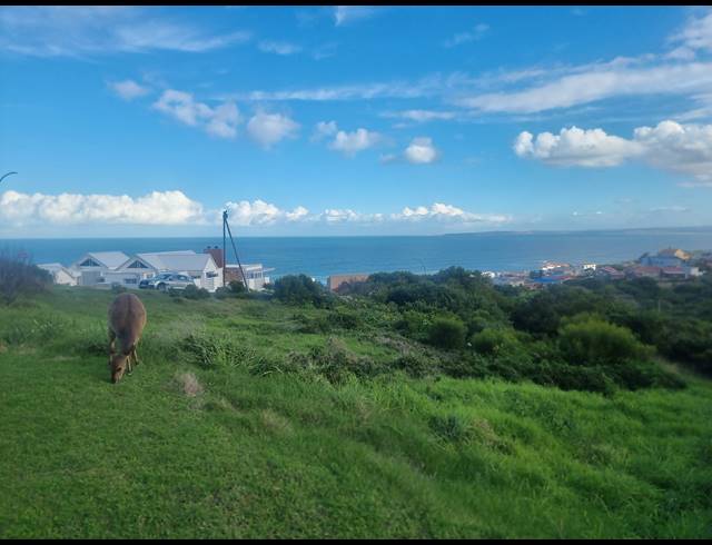 990M² VACANT LAND FOR SALE IN DANA BAY